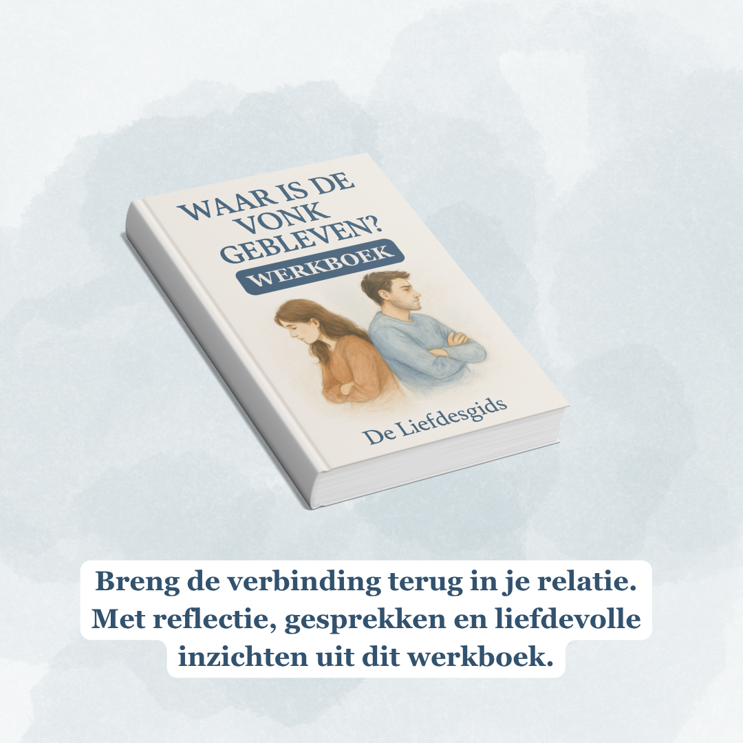 Werkboek - Waar is de vonk gebleven?